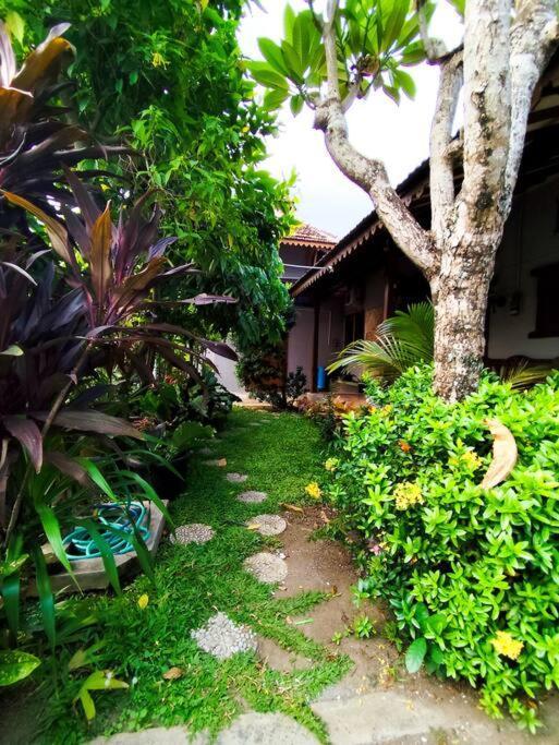 Niki Mawon Homestay Kejayan Exterior foto